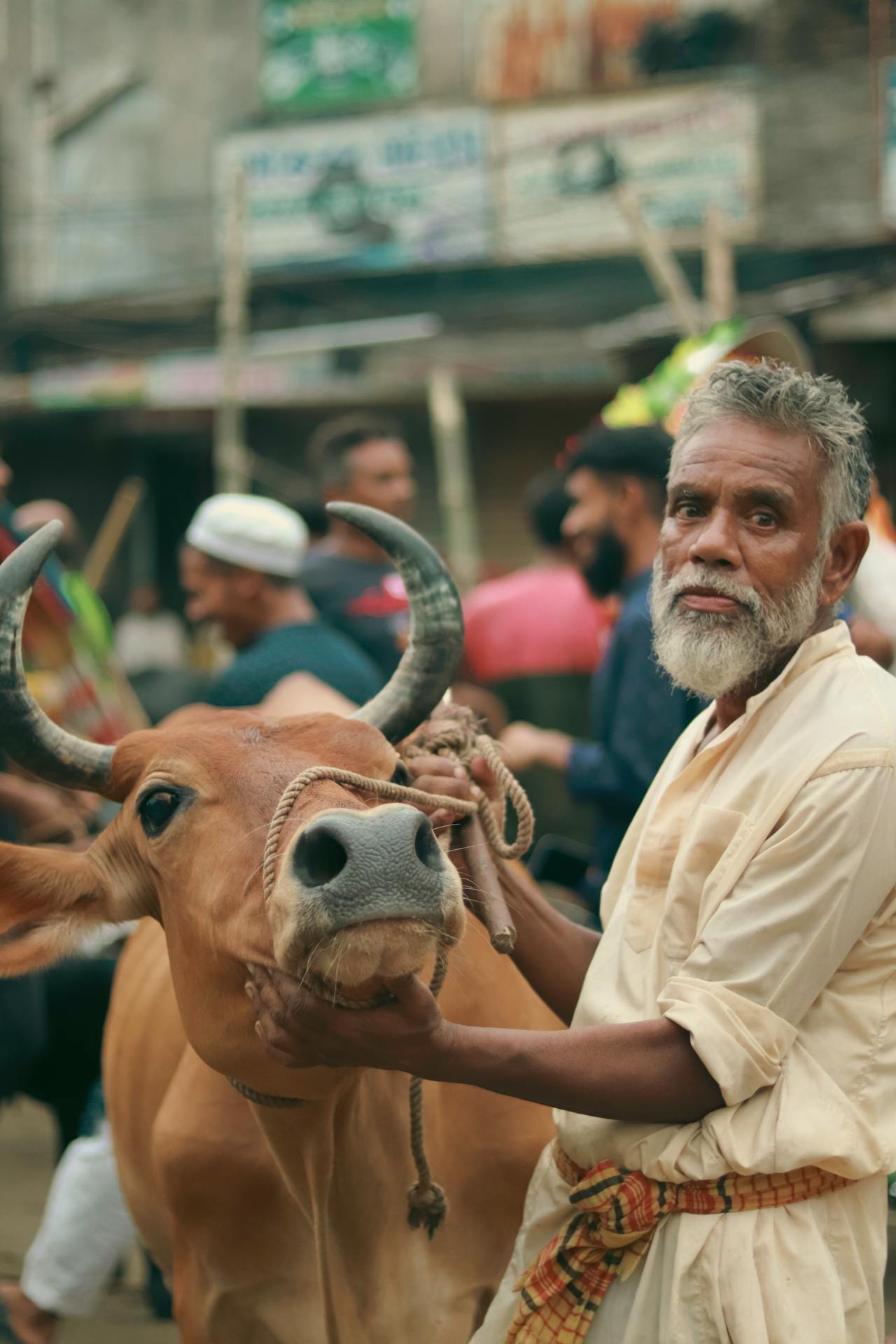Tata cara, syarat dan rukun pelaksanaan qurban bagi umat muslim