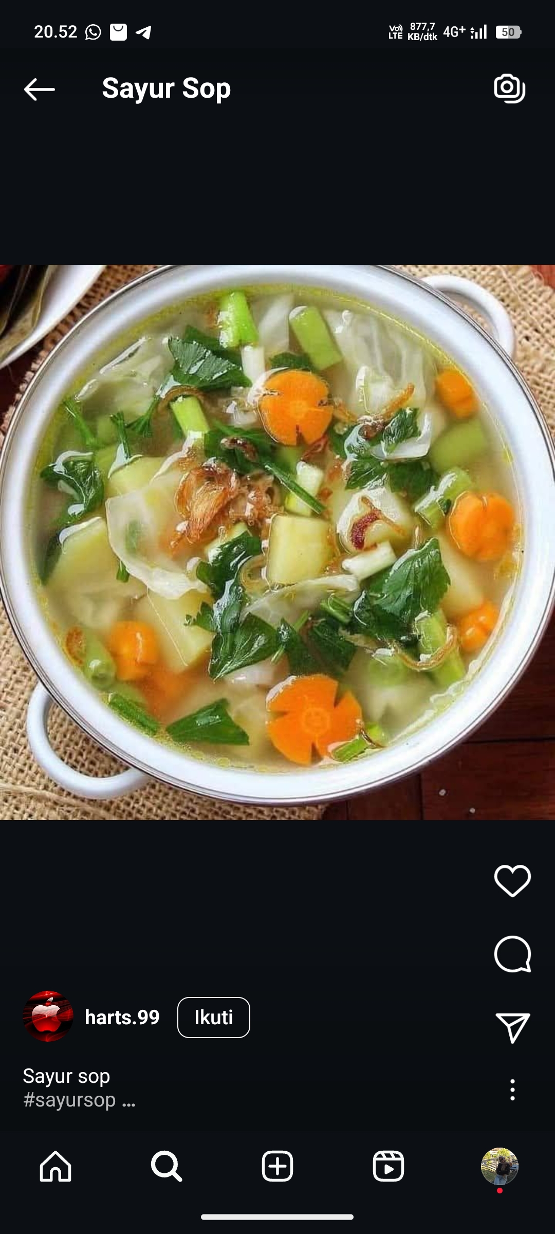 Sayur Sop