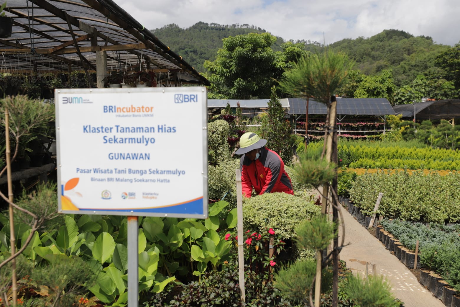 TERUS BERKEMBANG: BRI mencatatkan portofolio sustainablemencapai Rp 796 triliun.