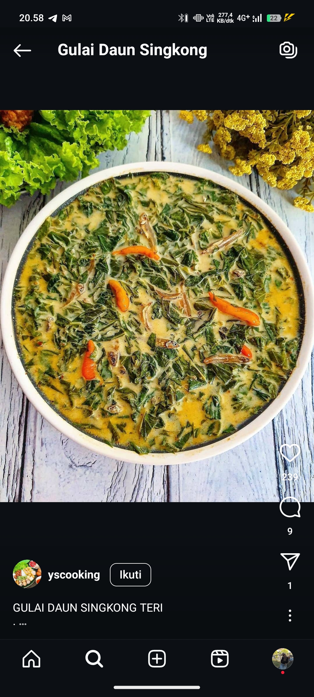 Gulai Daun Singkong