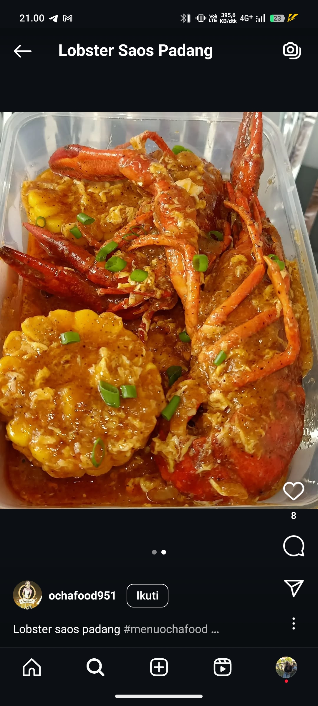 Lobster Saos Padang