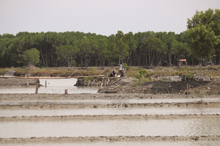BELUM PRODUKSI: Petani garam berada di tambaknya di Desa Gili Barat, Kecamatan Kamal, kemarin. (VIVIN AGUSTIN HARTONO/JPRM)
