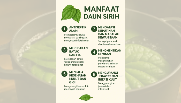 Manfaat mengonsumsi daun sirih