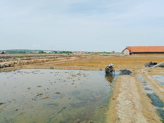 CERAH: Petani garam di Desa Polagan, Kecamatan Kota Sampang, tengah menyiapkan lahan garam untuk musim produksi tahun ini, Rabu (21/5). (UBAIDILLAHIR RAIE/JPRM)