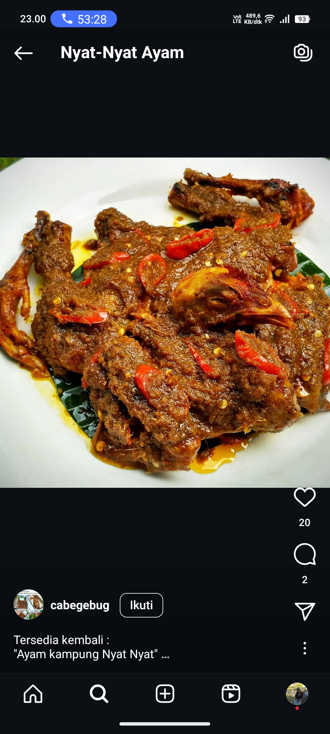 Nyat-Nyat Ayam