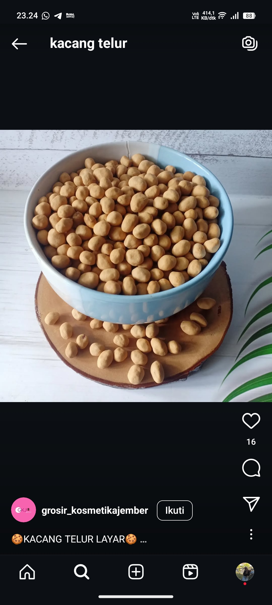 Kacang Telur