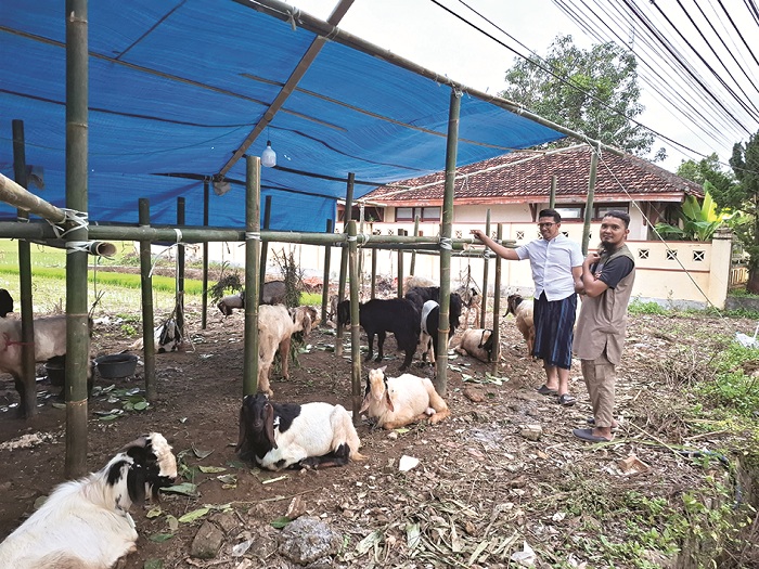MUSIMAN: Pedagang menjaga kambing dagangan di Jalan KH Mansyur, Sumenep, Rabu (28/5). (MOH. LATIF/JPRM)