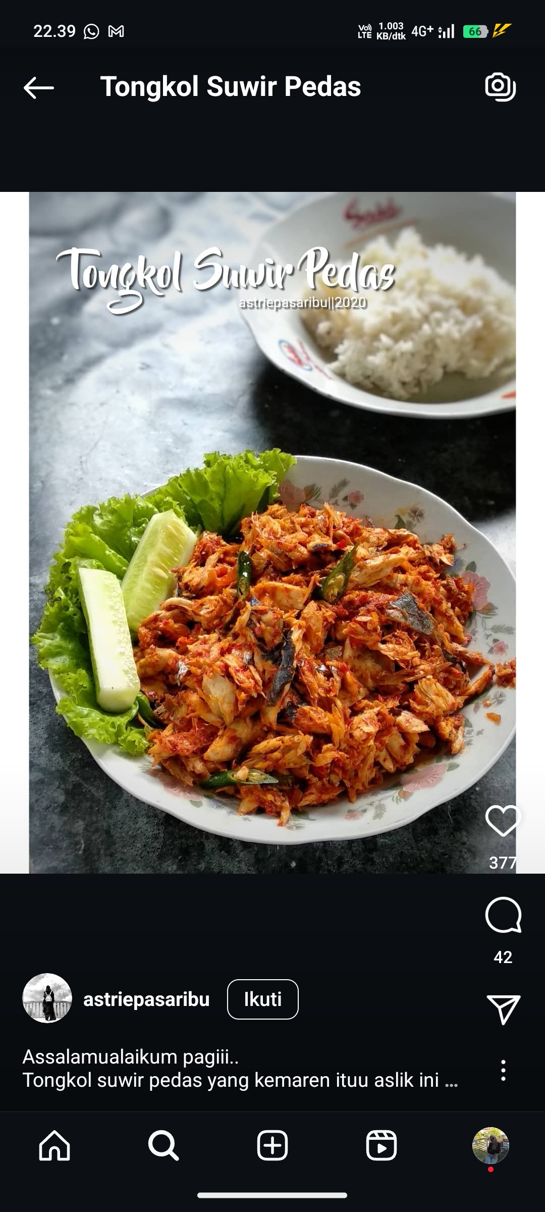 Tongkol Suwir Pedas