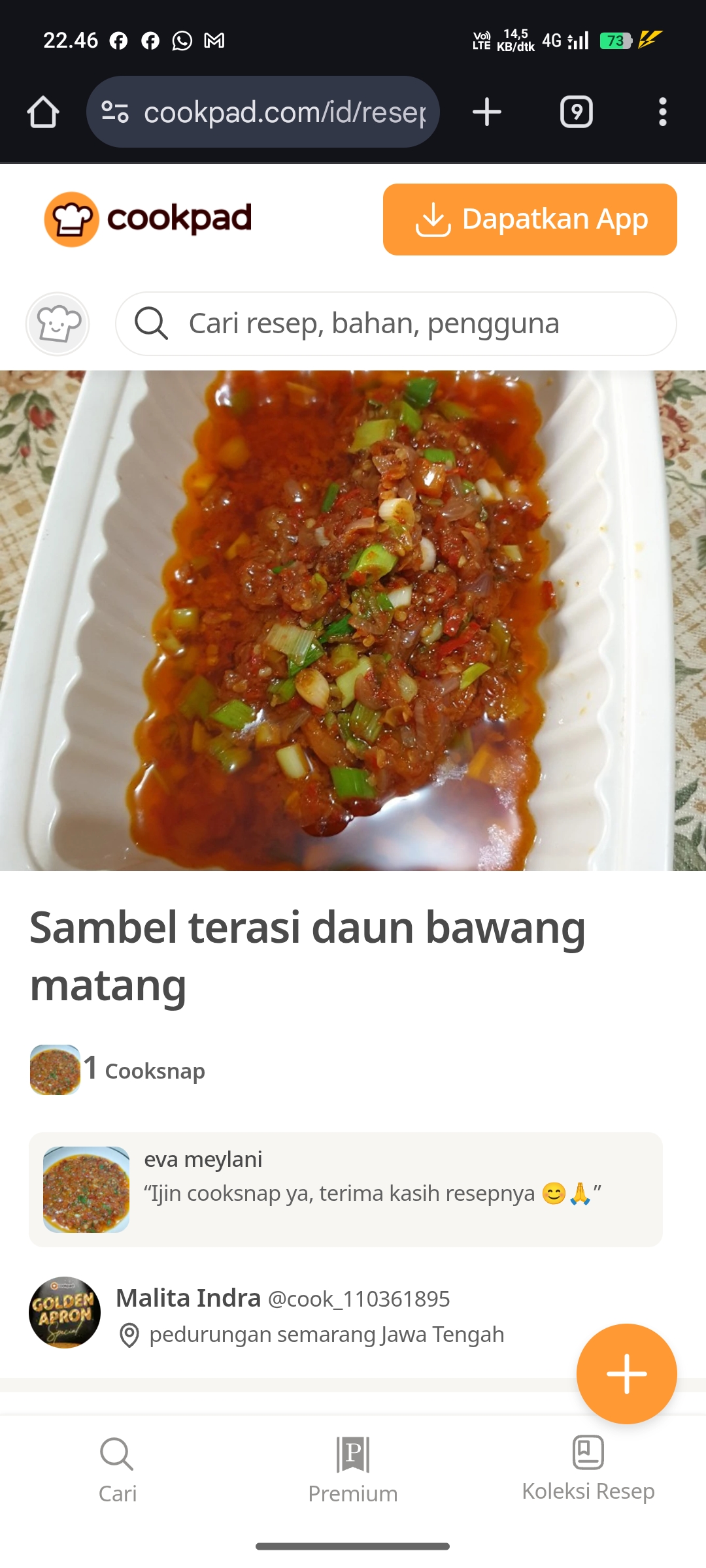 Ilustrasi Sambel Daun Bawang Pedes