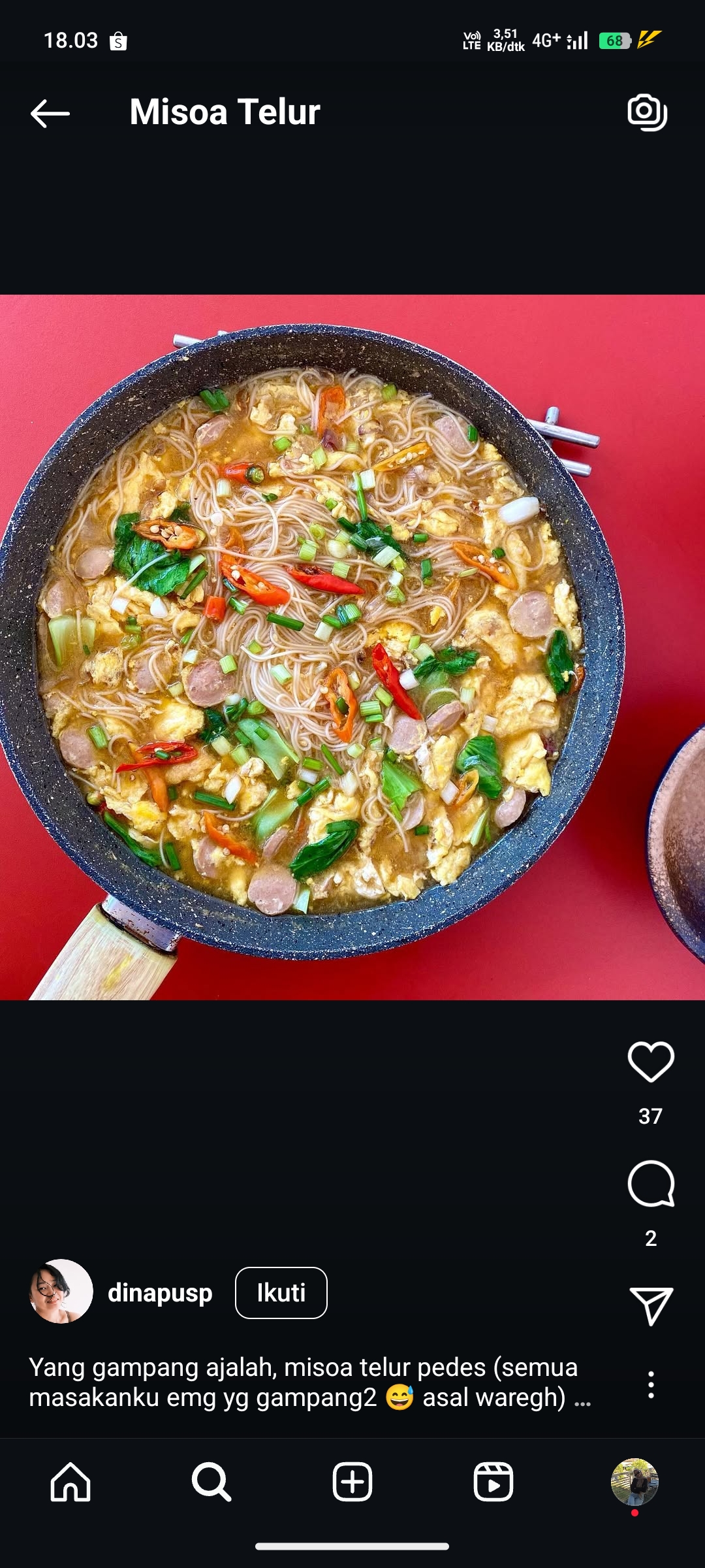 Misoa Telur