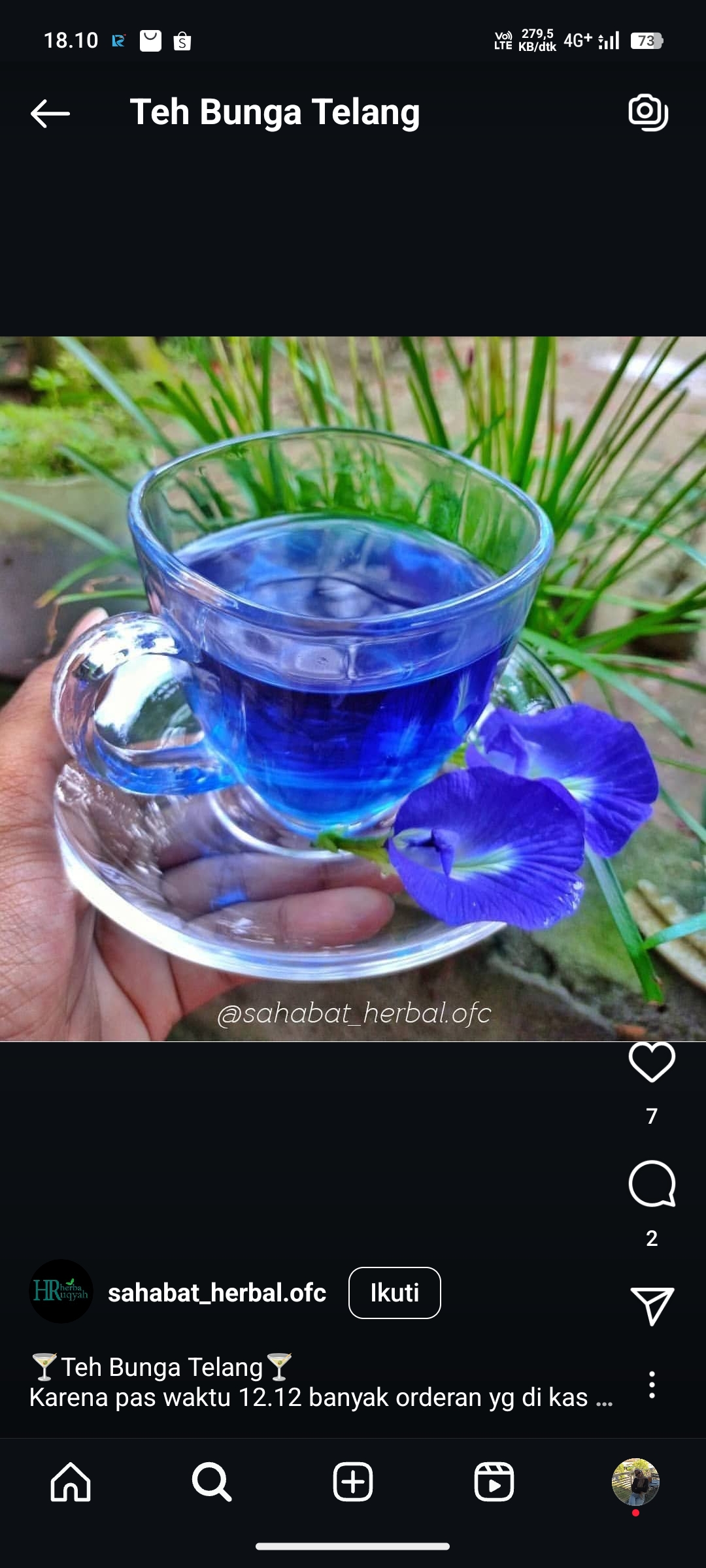 Teh Bunga Telang