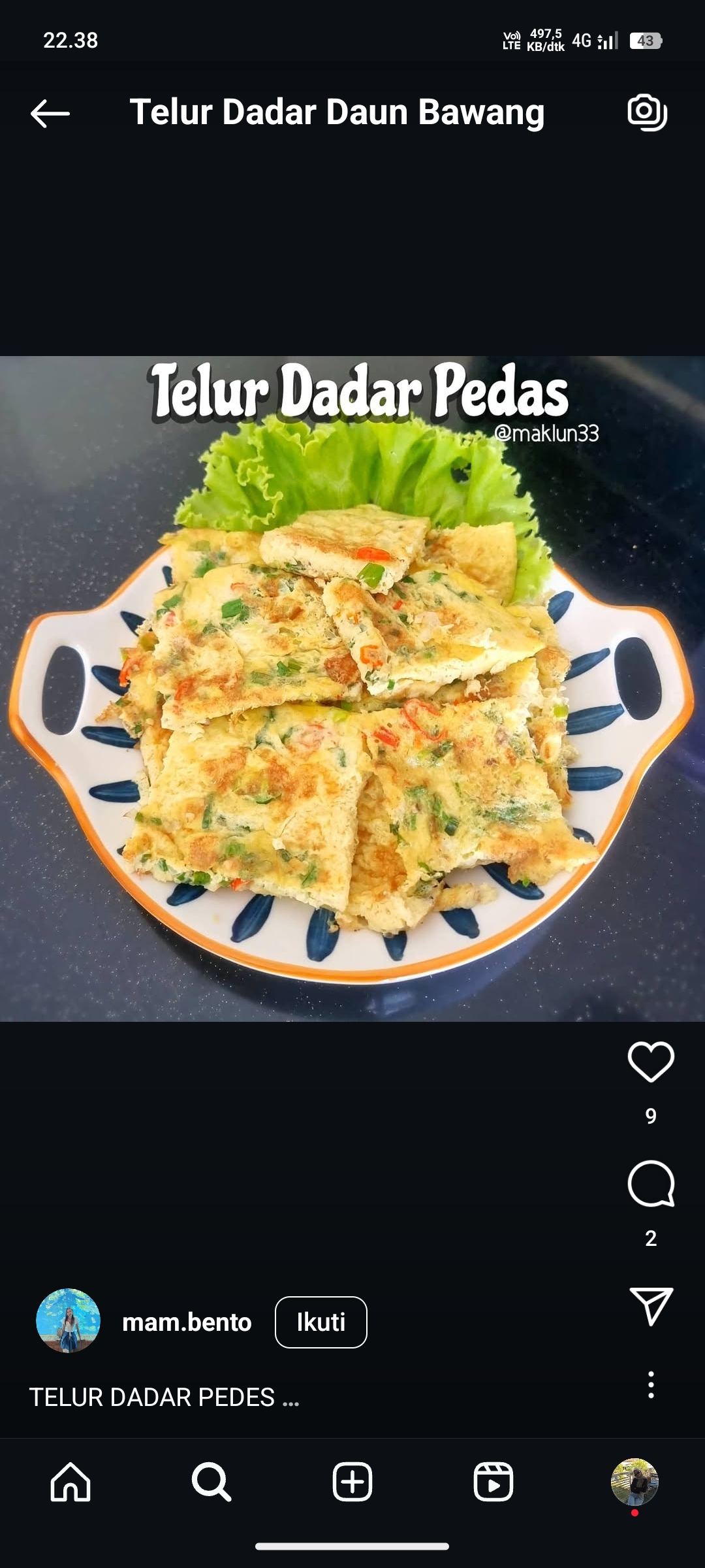 Telur Dadar Daun Bawang