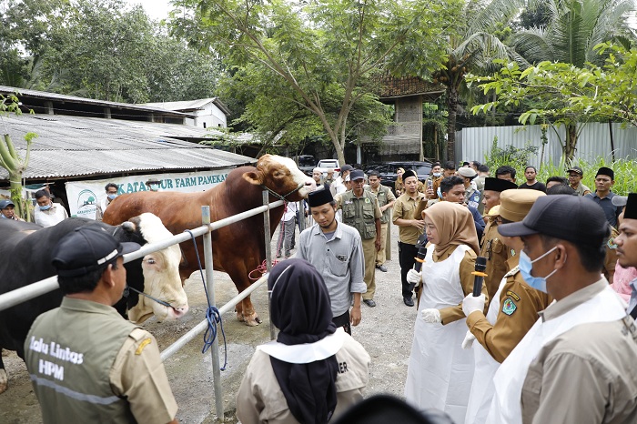CEK KUALITAS: Lora Izzu (kemeja abu) menemani Bupati Kholilurrahman dan tim dari DKPP Pamekasan mengecek kualitas hewan ternak di Katandur Farm, Senin (19/5). (PROKOPIM PAMEKASAN UNTUK JPRM)