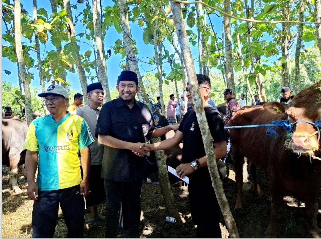 SIMBOLIS: Bupati Sumenep Achmad Fauzi Wongsojudo menyerahkan sapi kurban milik Yayasan Fathimah Binti Said Gauzan Peduli kepada para penerima di Kecamatan Manding, Sumenep Kamis (5/6/2025).