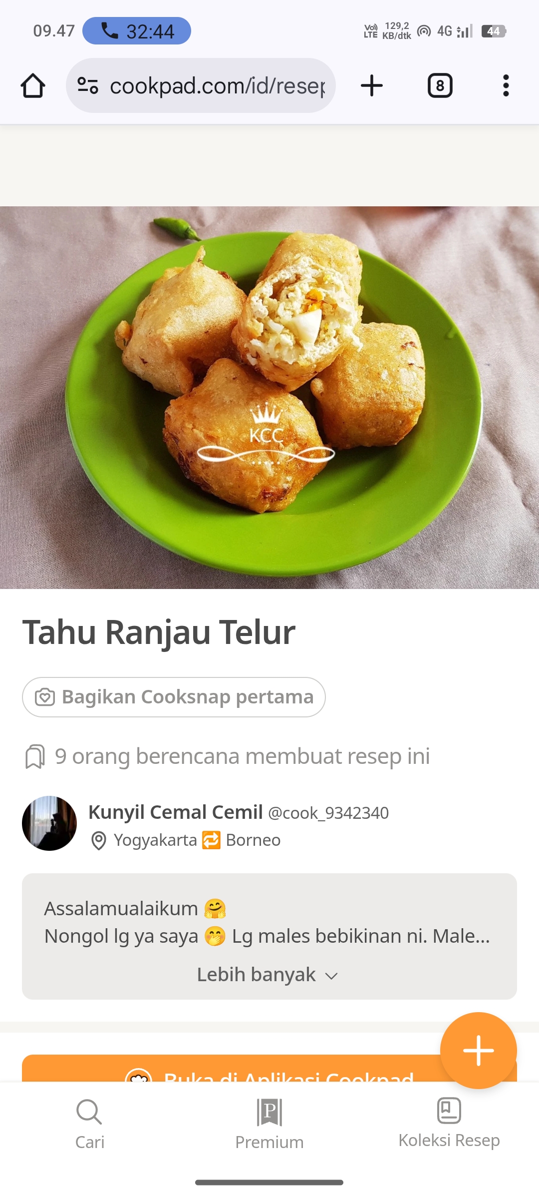 Tahu Ranjau Telur