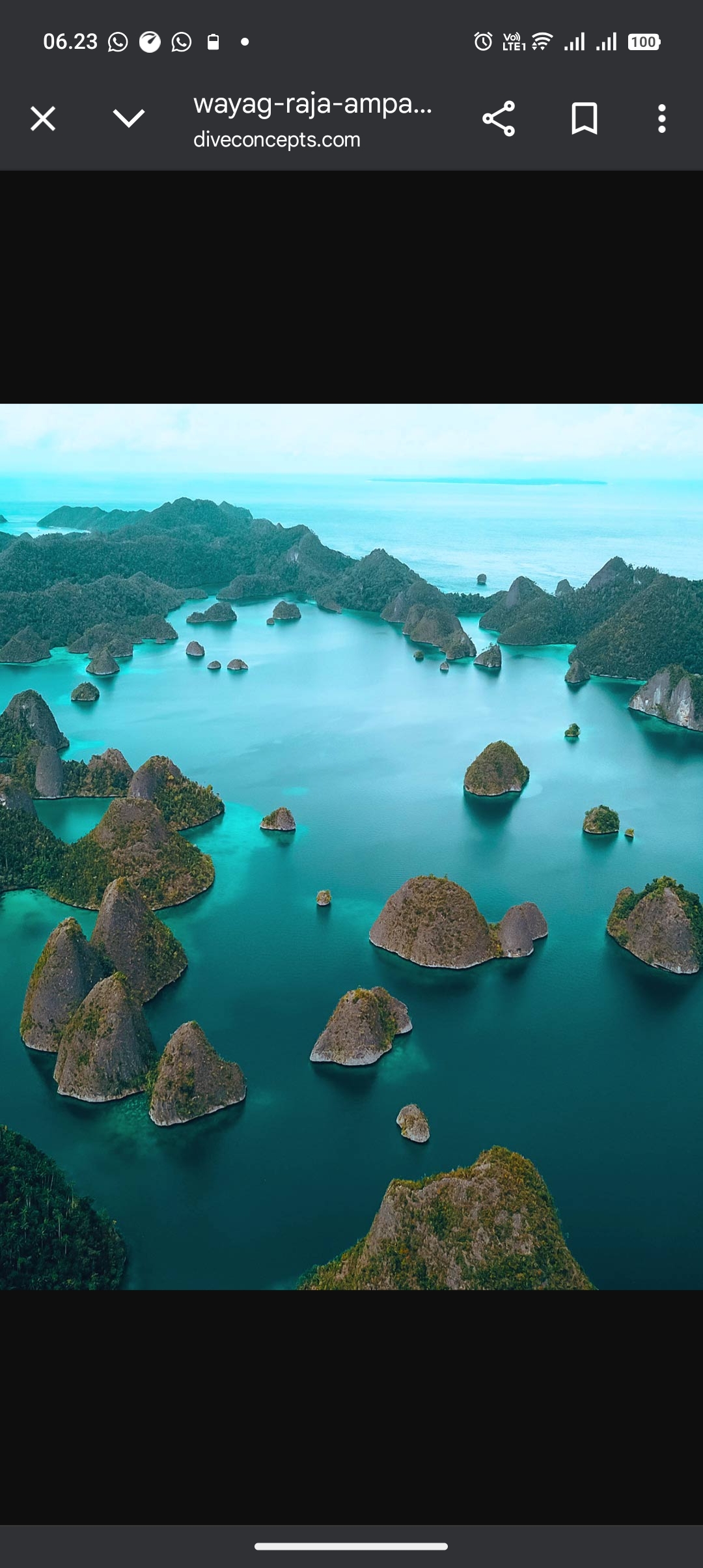 Raja Ampat memang menyuguhkan pemandangan spektakuler