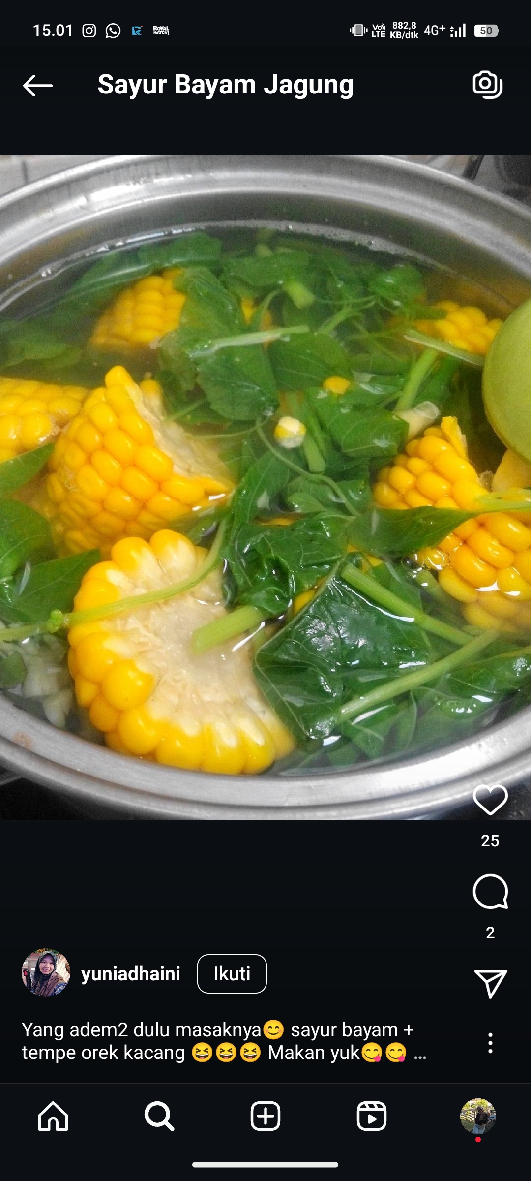 Sayur Bayam Jagung