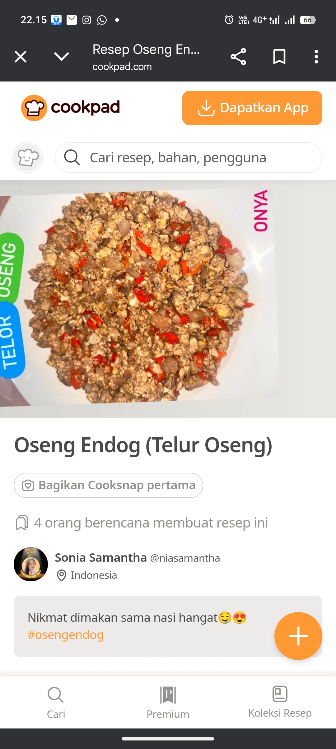 Oseng Endog yang pasti pengen terus sama masakan telur
