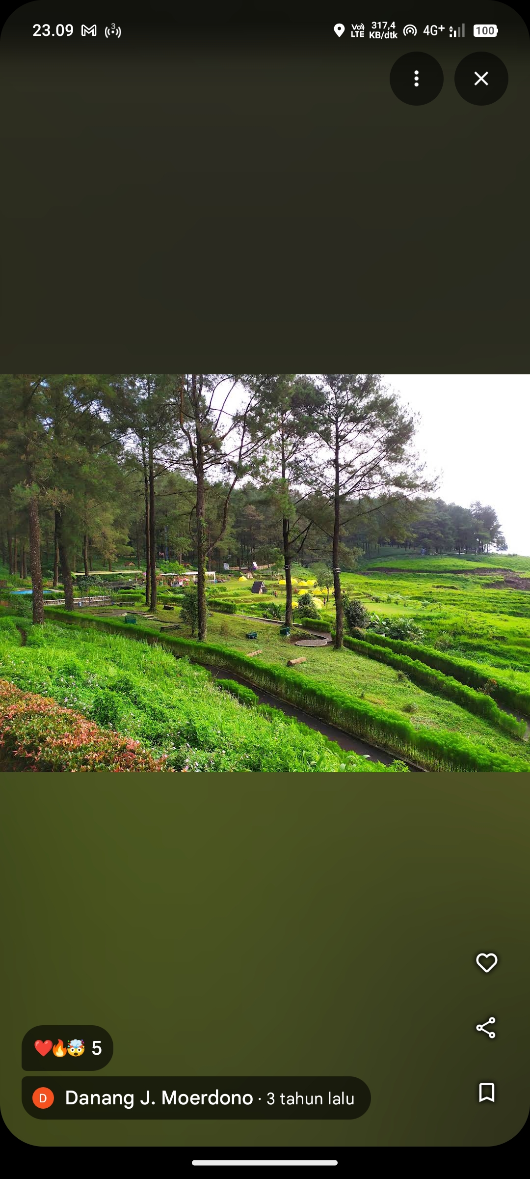 Hutan Pinus Limpakuwus