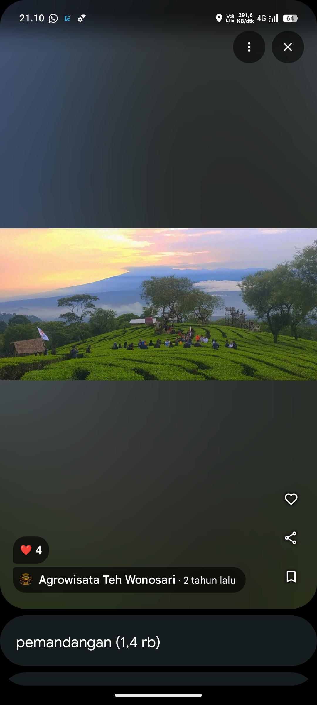 Kebun Teh Wonosari