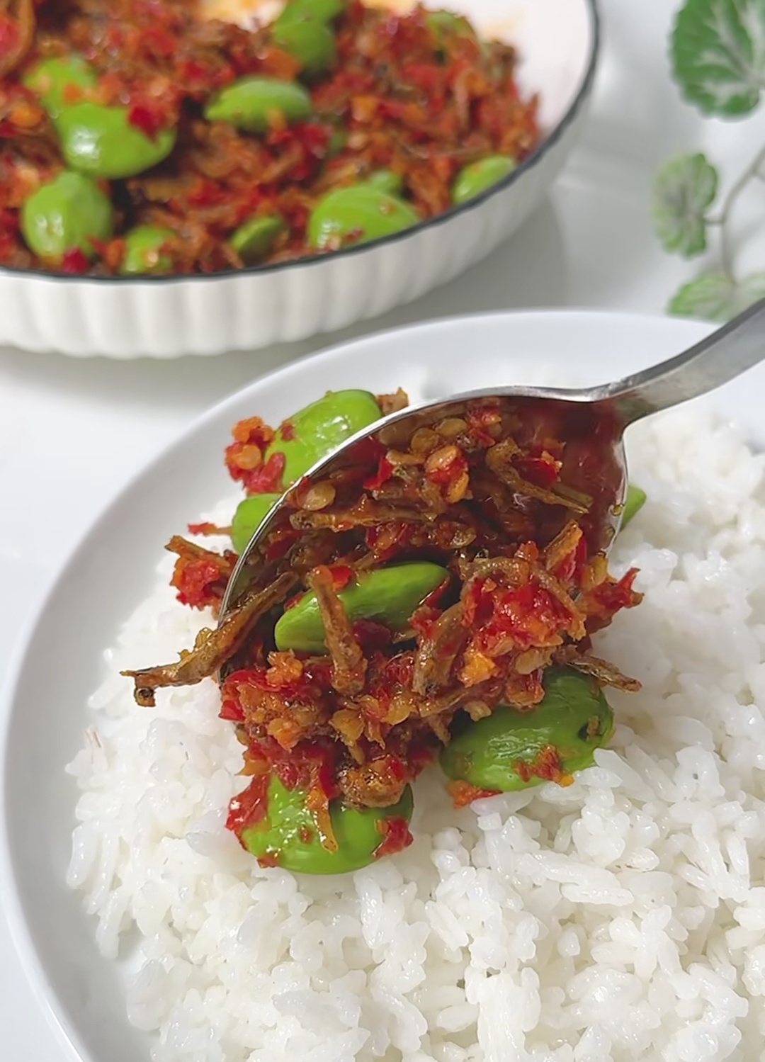 Sambal Kecombran Teri Medan dan Pete