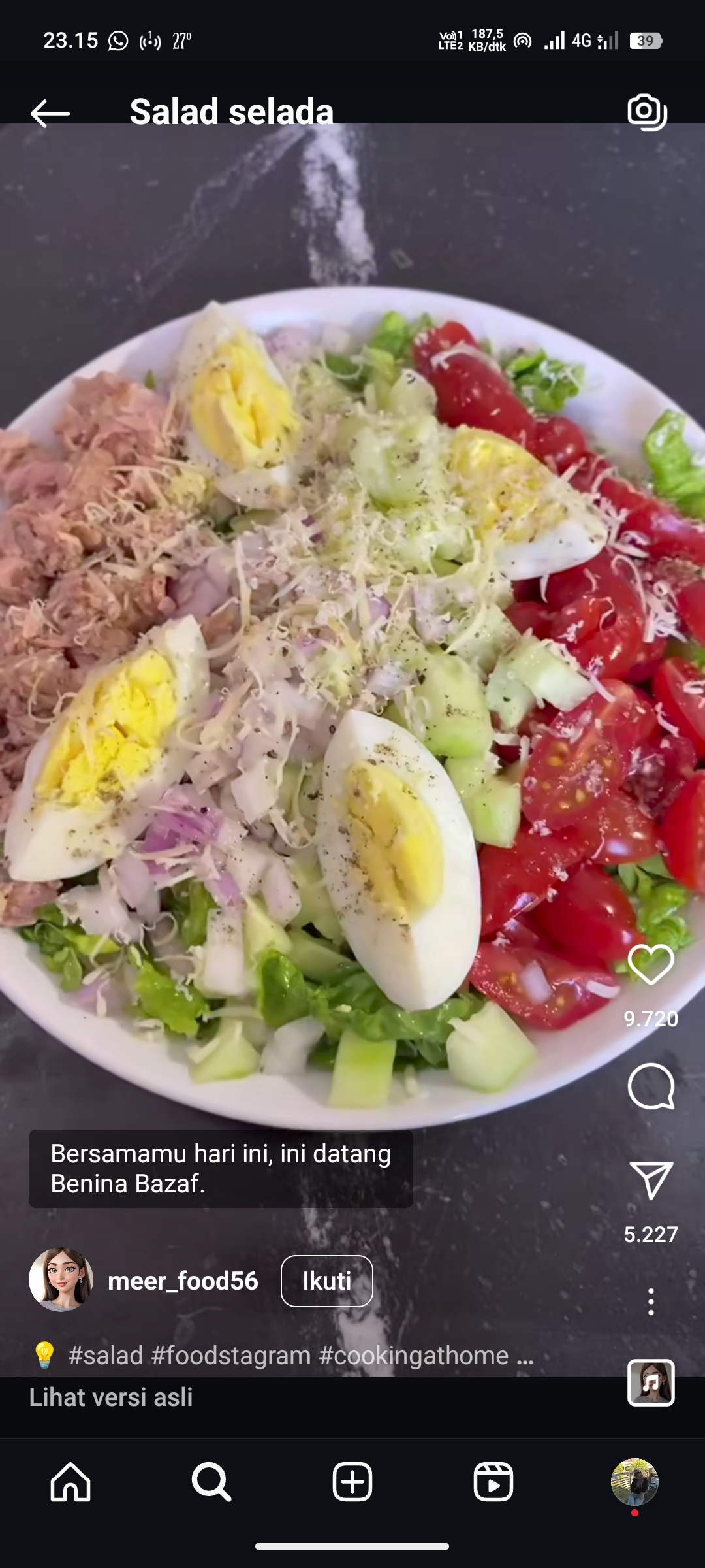 Ilustrasi Salad Selada