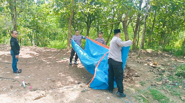 HUKUM: Anggota Polsek Sokobanah Sampang mengamankan BB di arena judi sabung ayam di Desa Bira Tengah, Kecamatan Sokobanah, Sampang, Rabu (9/7). (UBAIDILLAHIR RAIE/JPRM)