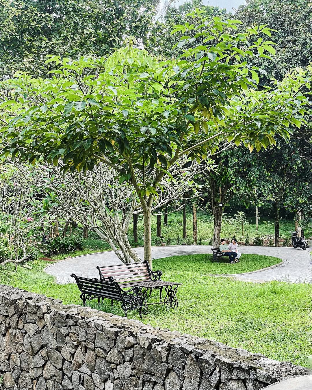 Semesta&rsquo;s Gallery Cilandak yang punya nuansa klasik dan taman asri