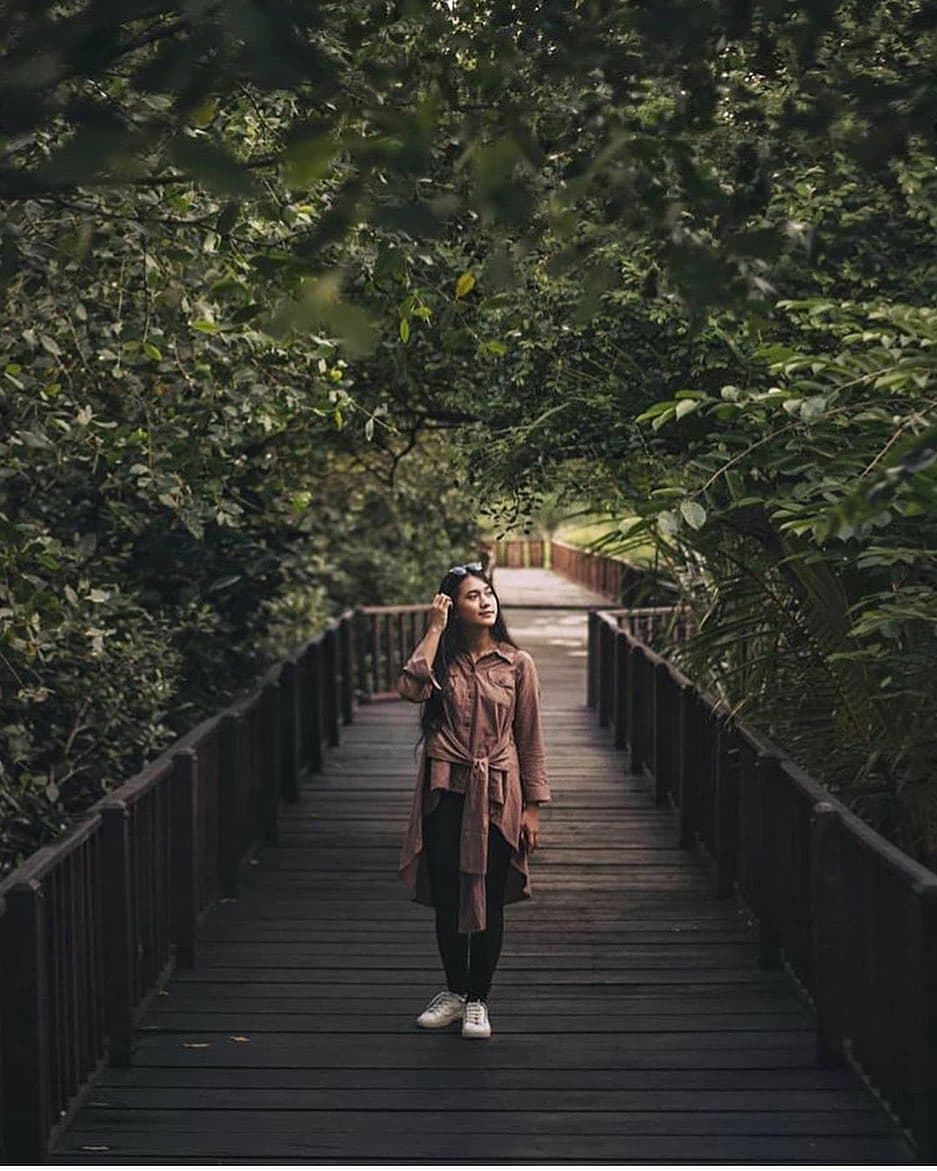 Ekowisata Mangrove Wonorejo Surabaya