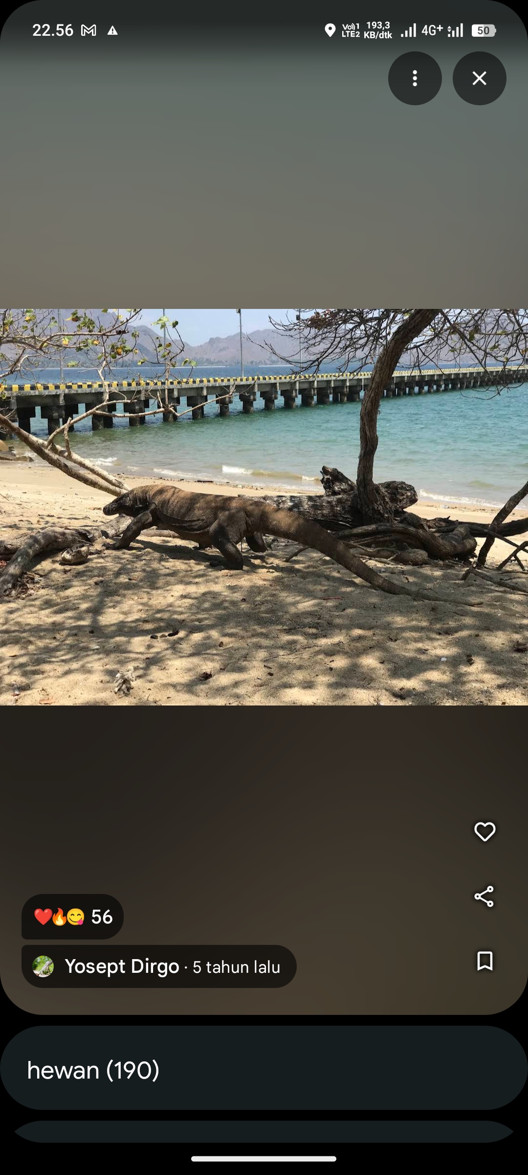 Pulau Komodo