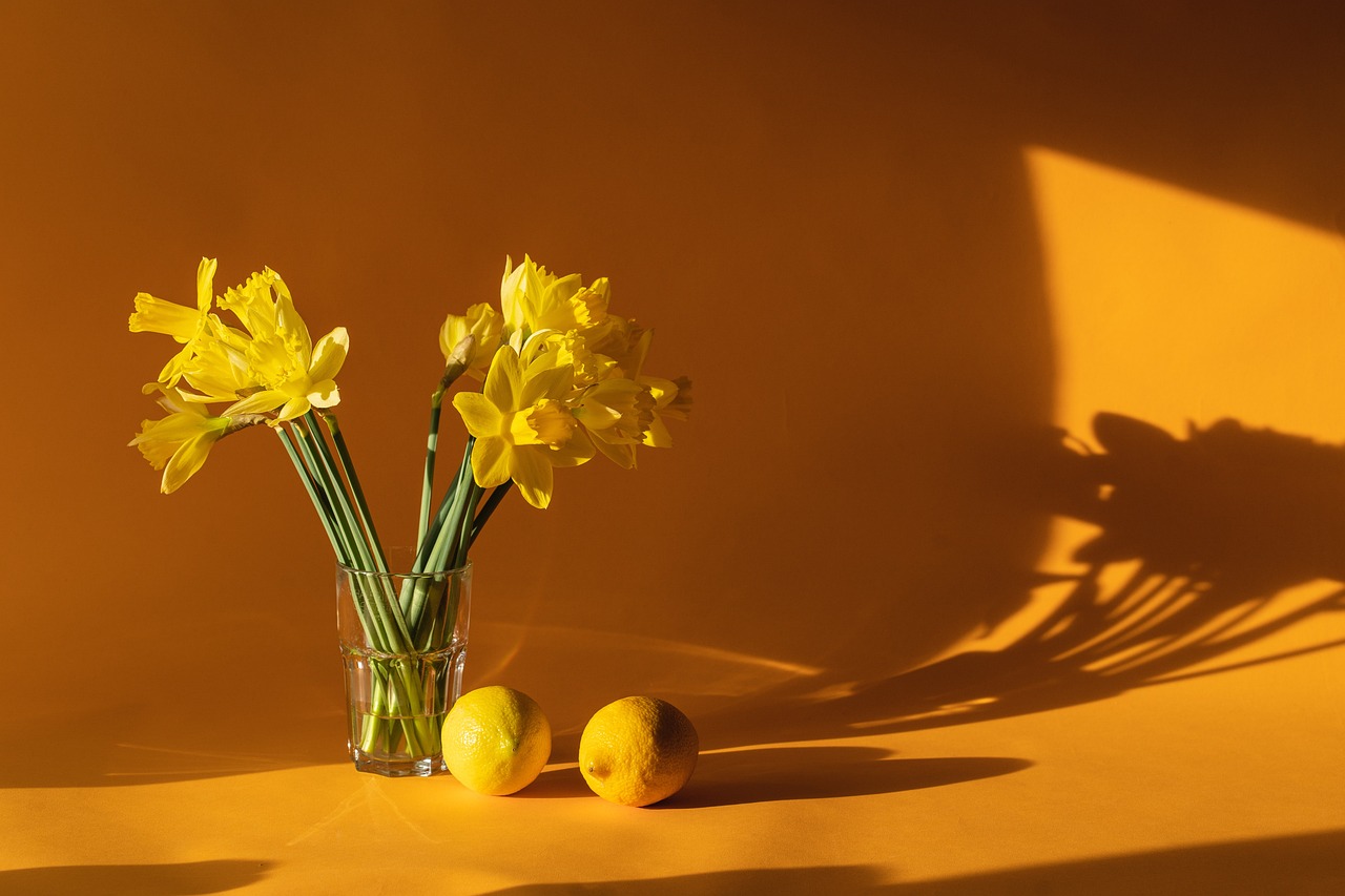 Kulit lemon adalah salah satu bahan alami yang bisa jadi pengharum ruangan