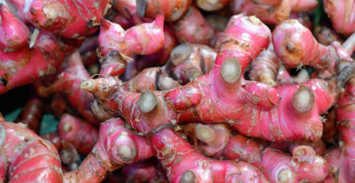 Selain diminum langsung, jahe merah juga bisa dikonsumsi dalam bentuk kapsul atau bubuk