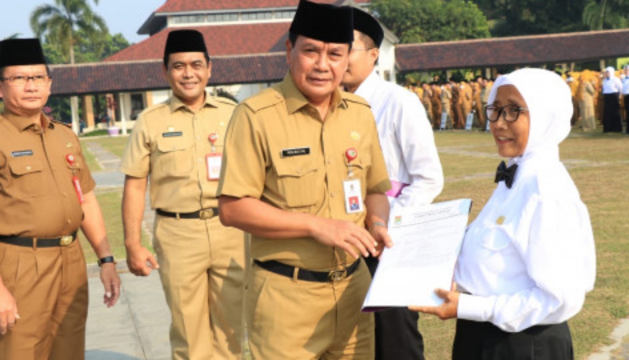 Ilustrasi Tenaga Honorer yang akhirnya diangkat menjadi PPPK