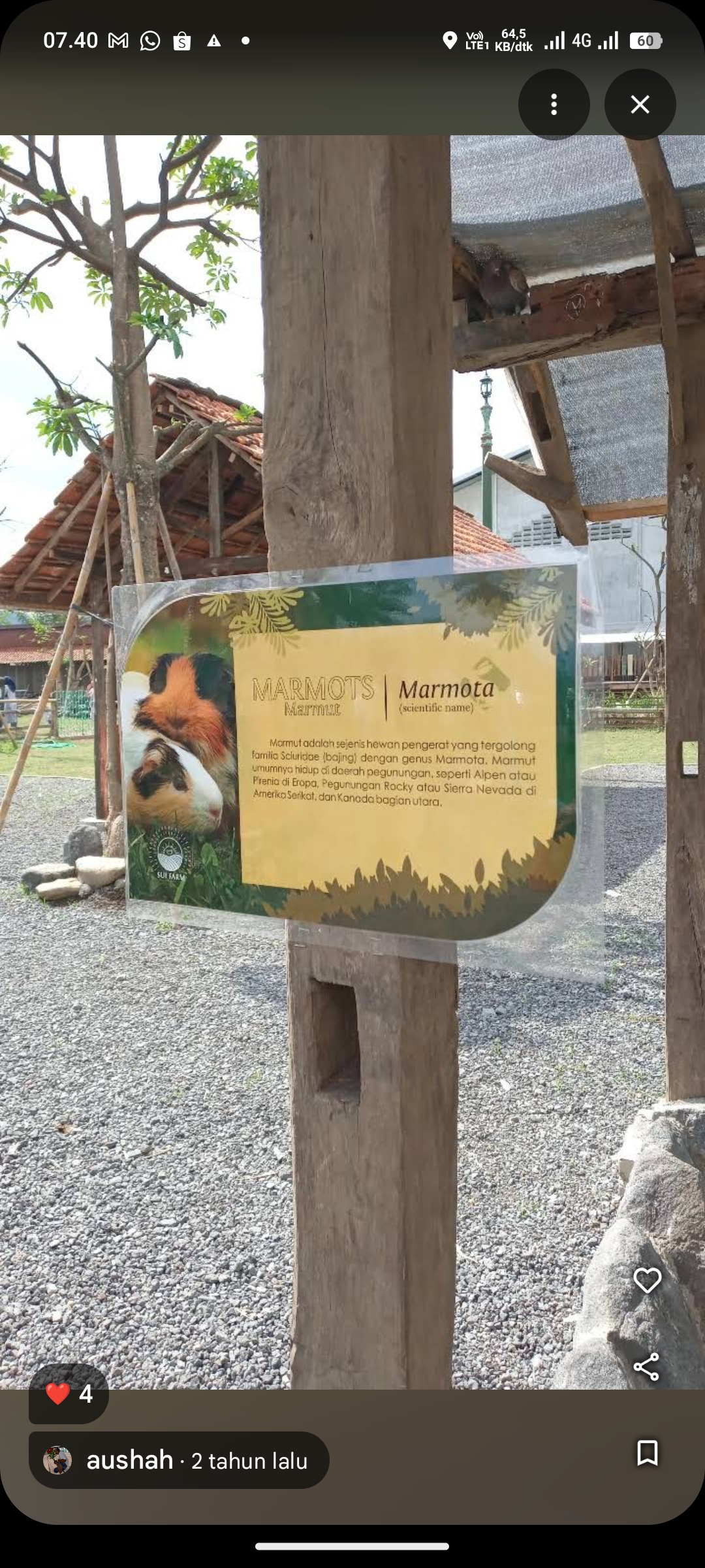 Sui Farm Mini Zoo, Malang