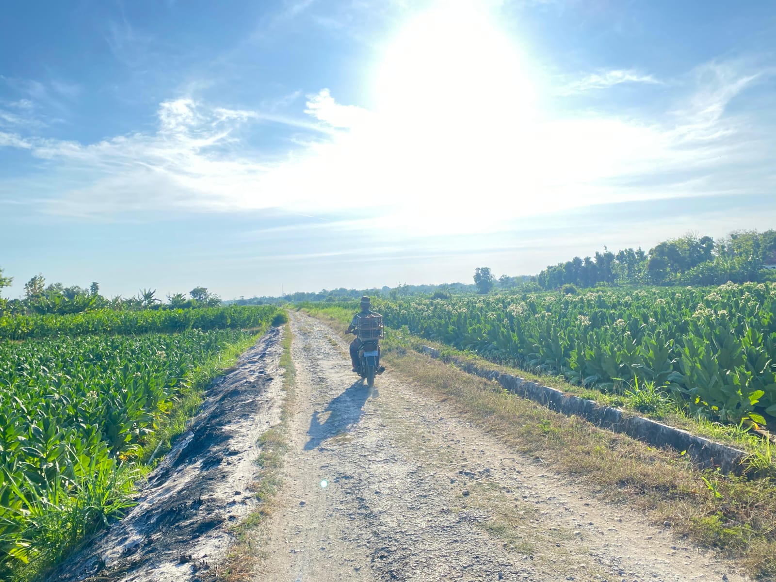 INFRASTRUKTUR: Pengendara motor melintas di JUT Desa Montok, Kecamatan Larangan , Minggu (31/08).