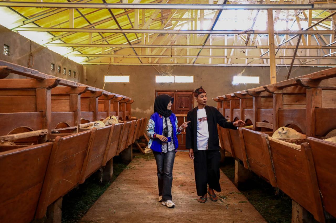 PETERNAKAN: BRI juga memberikan KUR terhadap pelaku UMKM dibidang peternakan.