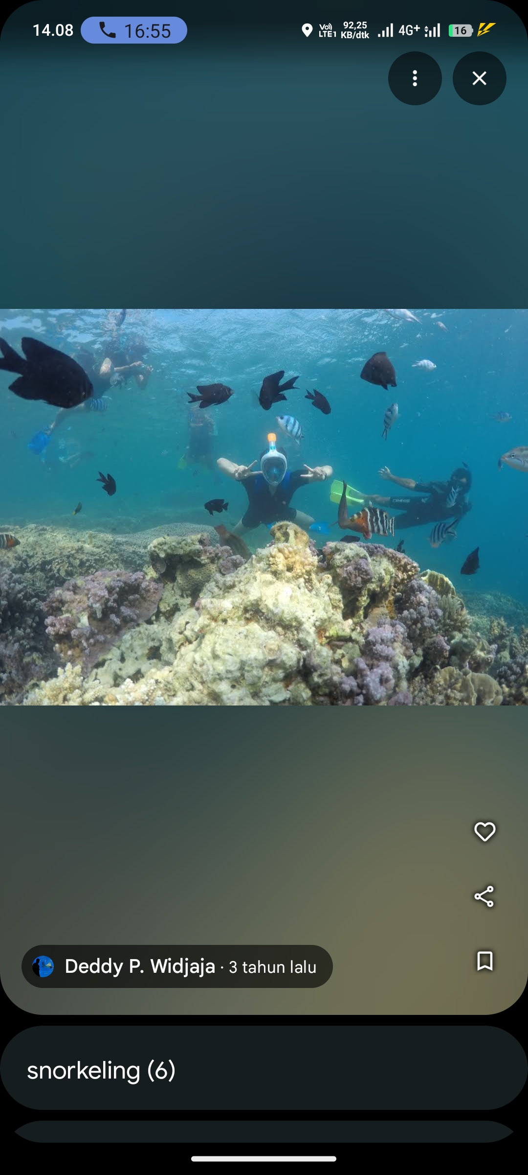 Snorkeling di Pulau Menjangan Karimunjawa
