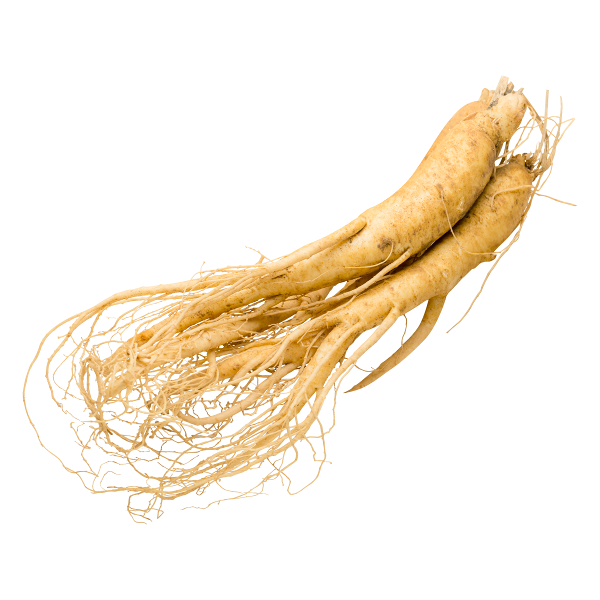 Menkonsumsi ginseng harus dengan dosis yang tepat