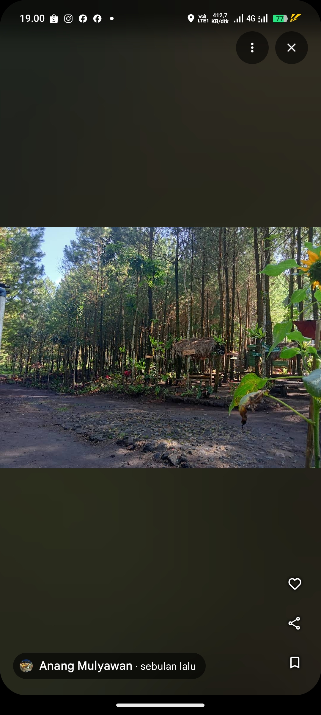 Hutan Pinus Sewu, Lumajang