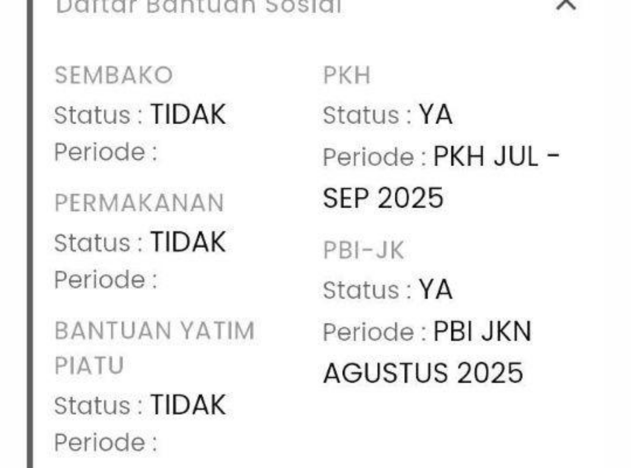 Tangkapan layar hasil pengecekan bansos PKH