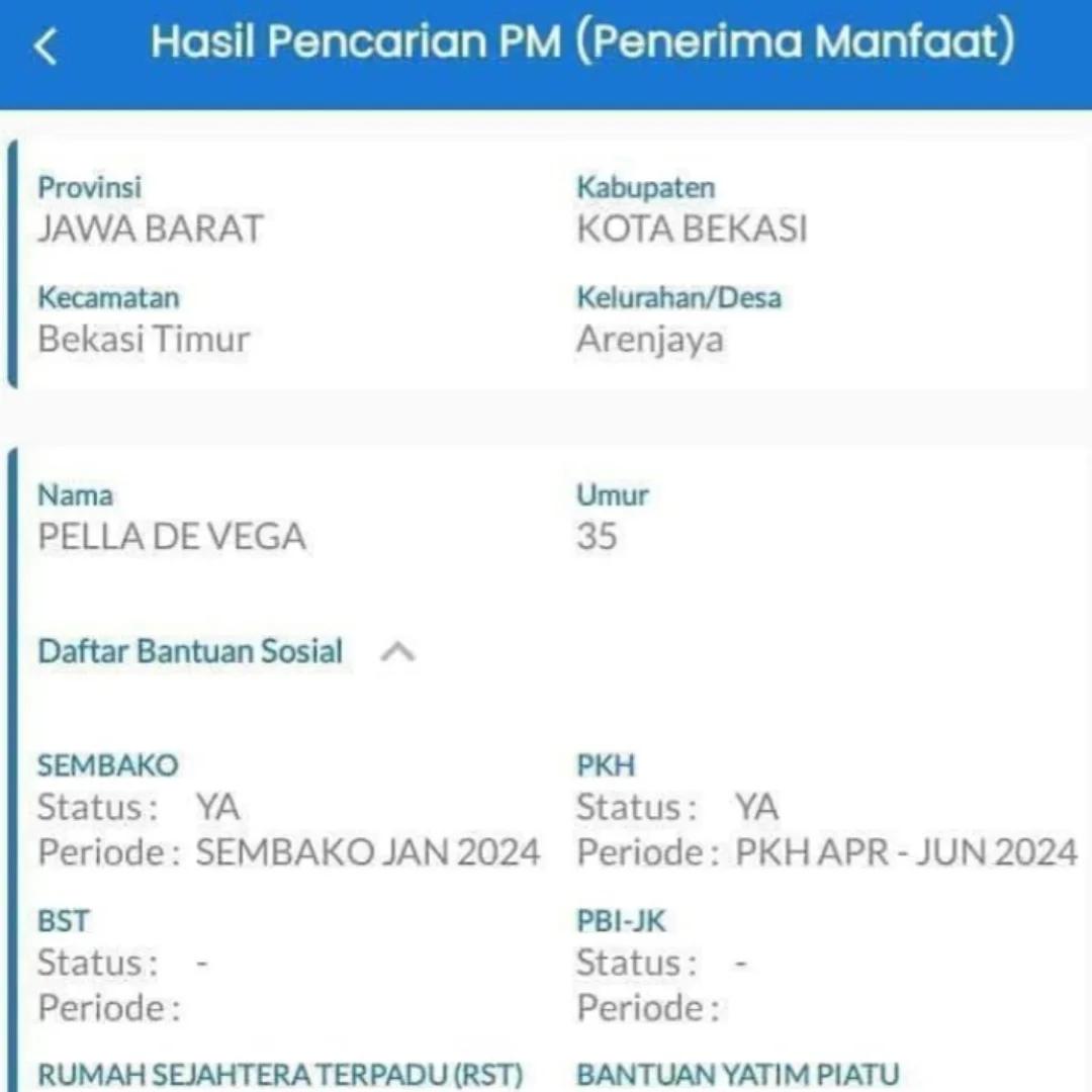 Contoh laporan saat mengecek secara online bansos