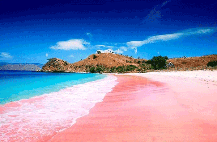 Pantai Tangsi atau pantai pink yang punya pasir unik