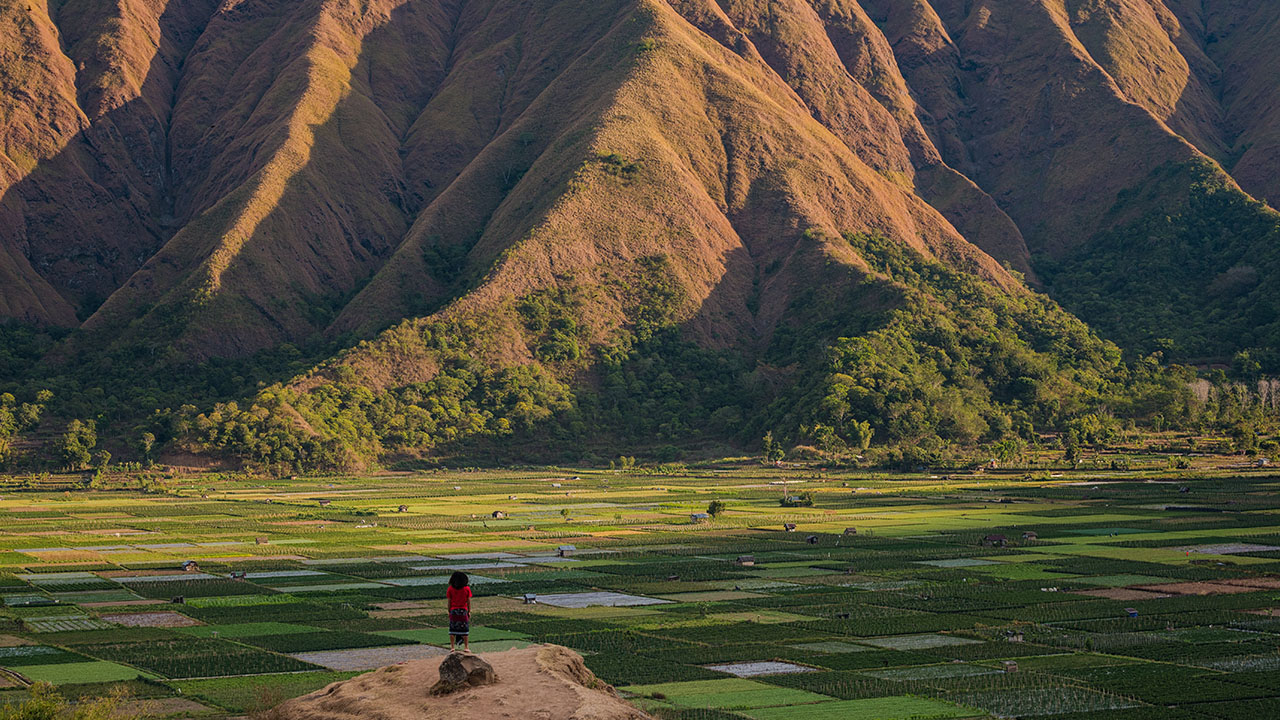 Bukit Selong yang ada di lombok