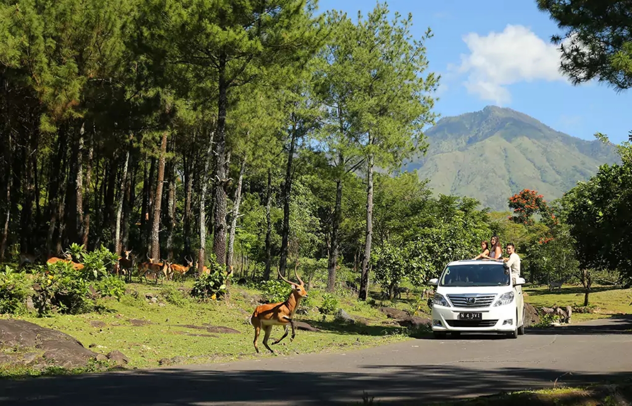 The Grand Taman Safari Prigen