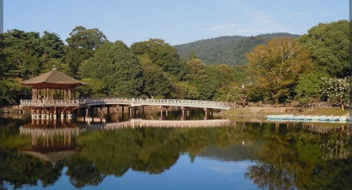 Tak hanya menawarkan pemandangan hijau, Nara Park Forest juga memiliki deretan kafe dan restoran berkonsep outdoor.