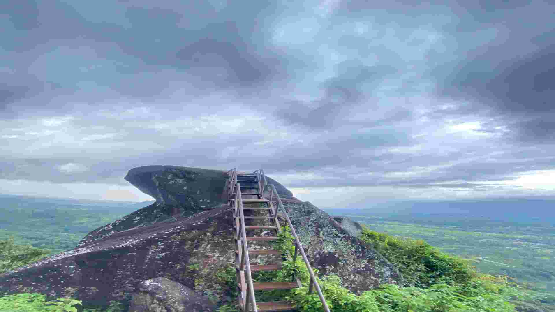 Puncak SJ88