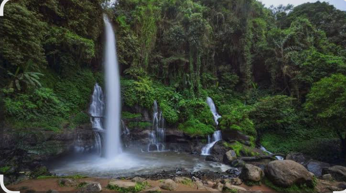 Curug Orok terletak di Desa Cikandang, Kecamatan Cikajang, Kabupaten Garut, Jawa Barat.