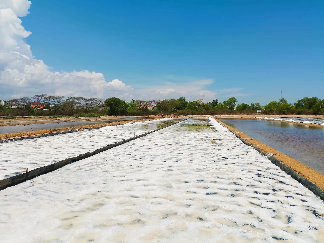 CERAH: Petani melihat tambak garam di Keluarahan Polagan, Sampang, Senin (13/10).