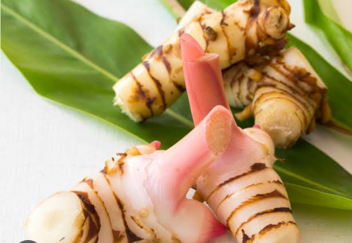 Manfaat tanaman herbal lengkuas untuk kesehatan tubuh