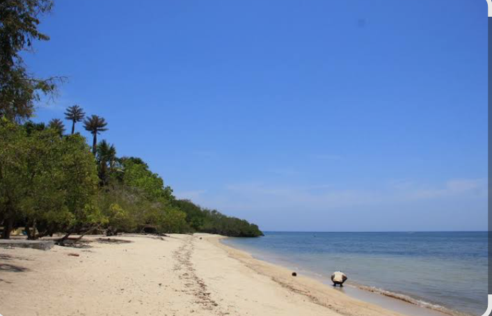 Pantai bama yang memiliki sunrise emas yang indah